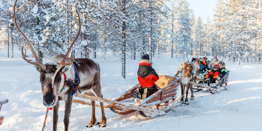 Beyaz Zambaklar Ülkesi: Finlandiya Gezi Rehberi